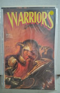 Warriors #1. H02