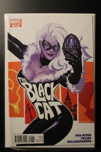 Amazing Spider-Man Presents: Black Cat #1 (2010)