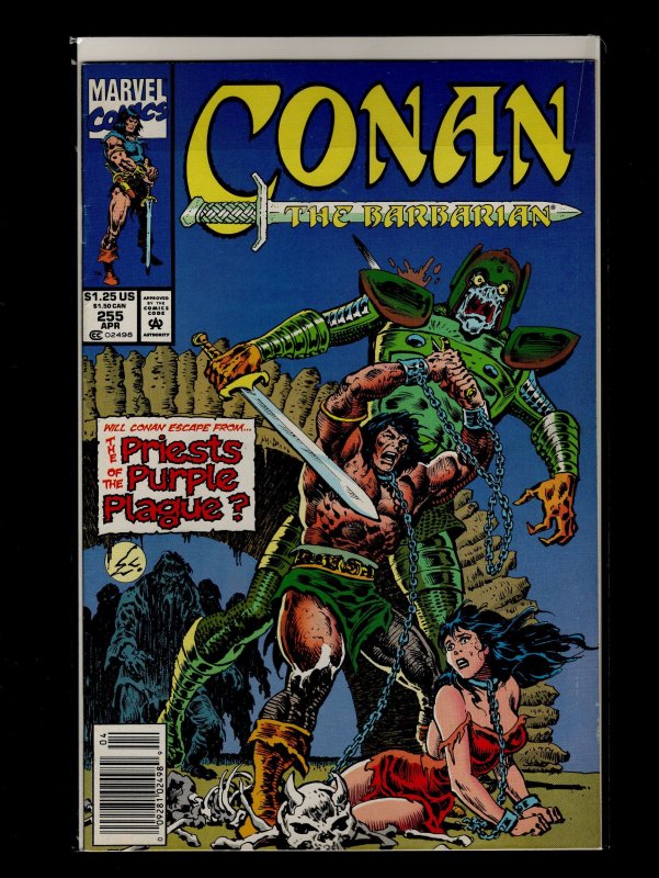 Conan the Barbarian #246,251,252,253,254,255,256,257,258,259,260 (1991)