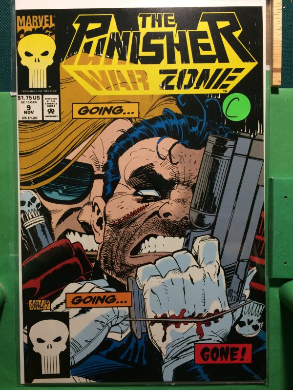 The Punisher War Zone #9