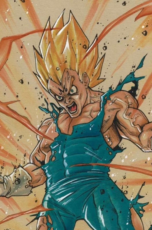 Vegeta Original Art by Sergio Dávila – Dragon Ball Z A4 Full Color Signed