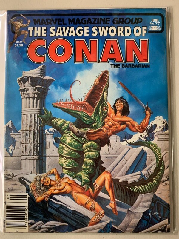 Savage Sword of Conan #77 8.0 (1982)