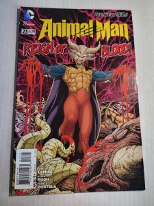 Animal Man #23 (2013)