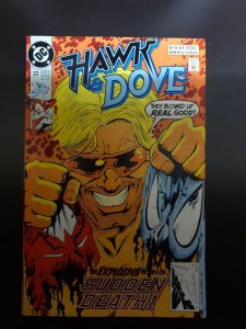 Hawk and Dove #22 (1991)