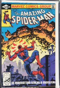 The Amazing Spider-Man #218 (1981) Spider-Man