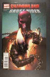 Shadowland: Ghost Rider (2010)