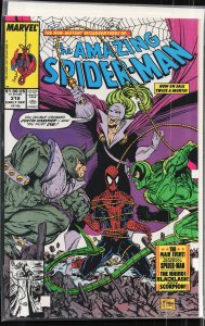 The Amazing Spider-Man #319 (1989) Spider-Man