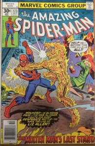 The Amazing Spider-Man #173 (1977)