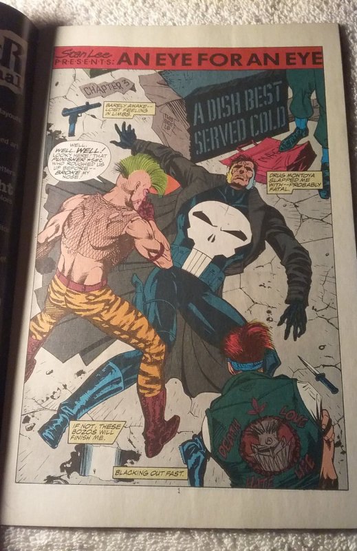 The Punisher War Journal #3 (1989)