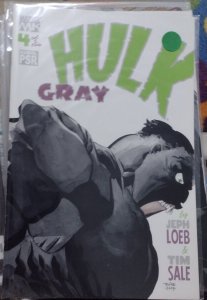 Hulk gray   # 4  marvel   2003 jeph loeb tim sale