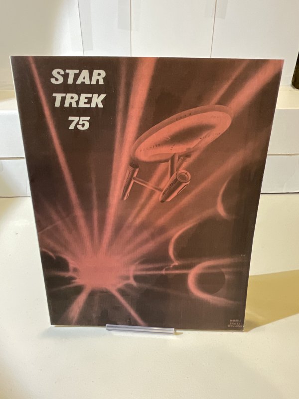 Star Trek ‘75  fan club magazine/convention program  F/VF