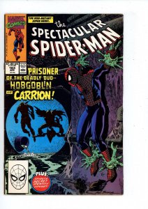 The Spectacular Spider-Man #163 (1990) Spider-Man Marvel Comics