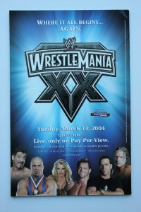 Superman / Batman #8 (2004) Superman and Batman [Key Issue] NM