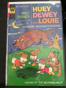 Huey, Dewey and Louie Junior Woodchucks #12 (1972)