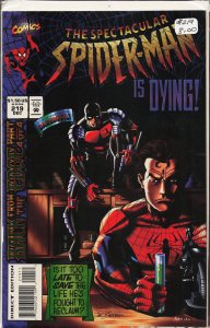 The Spectacular Spider-Man #219 (1994) Spider-Man