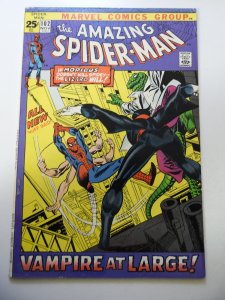 The Amazing Spider-Man #102 (1971) FN Condition
