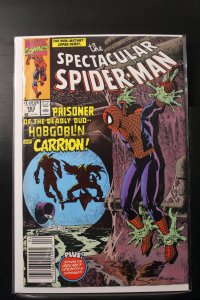 The Spectacular Spider-Man #163 (1990)