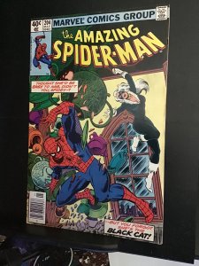The Amazing Spider-Man #204 (1980) Mid grade Black Cat key! VG/FN Wow!