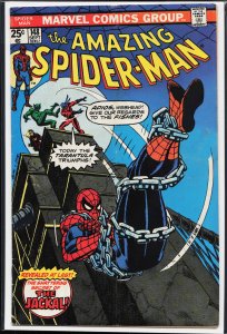 The Amazing Spider-Man #148 (1975) Spider-Man