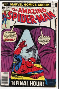 The Amazing Spider-Man #164 (1977) Spider-Man