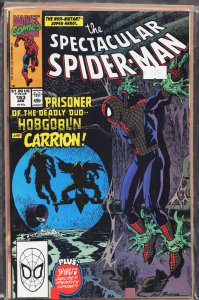 The Spectacular Spider-Man #163 (1990) Spider-Man