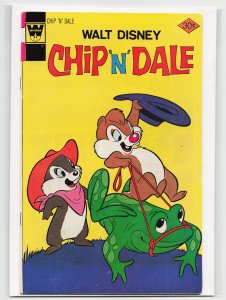 Walt Disney Chip 'n' Dale #43 (1976) Chip 'n' Dale