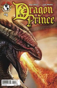 Dragon Prince #1B VF/NM ; Top Cow | Stjepan Sejic Variant