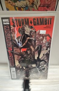X-Men: Curse of the Mutants - Storm & Gambit (2010)