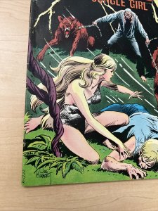 Rima The Jungle Girl #2 