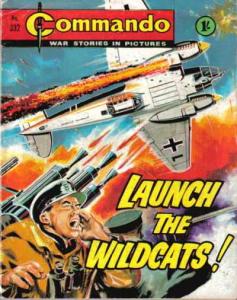 Launch the Wildcats!