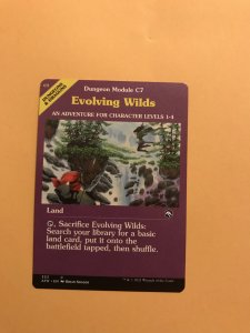 EVOLVING WILDS : Magic the Gathering MtG card / Adventures in Forgotten Realms