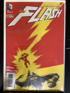 The Flash #22 (2013)