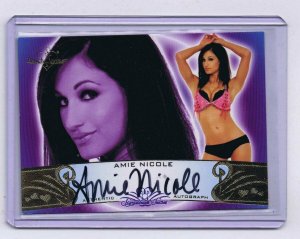 Dr. Amie Nicole Harwick 2010 Benchwarmers Certified Autograph Card #30A