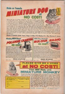 Gorgo #8 (1962) Mid-Grade Polar Bear vs. Gorgo!  VG/FN Wow! Tons listed now!