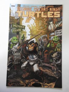 Teenage Mutant Ninja Turtles #109 Cover B