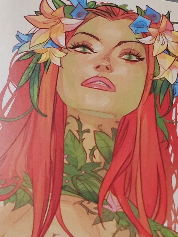 Poison Ivy Lovely Otto Schmidt Variant Issue 16 No Feet New Read Better Comics