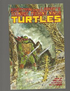 Teenage Mutant Ninja Turtles #37