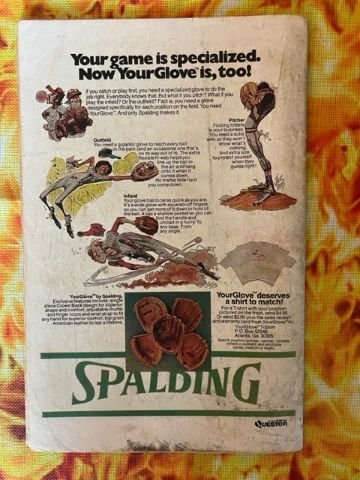 The Flash #242 (1976)