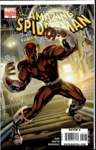 The Amazing Spider-Man #579 Variant Cover (2009)