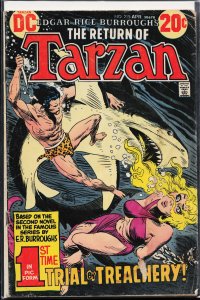 Edgar Rice Burroughs' Tarzan #219 (1973)