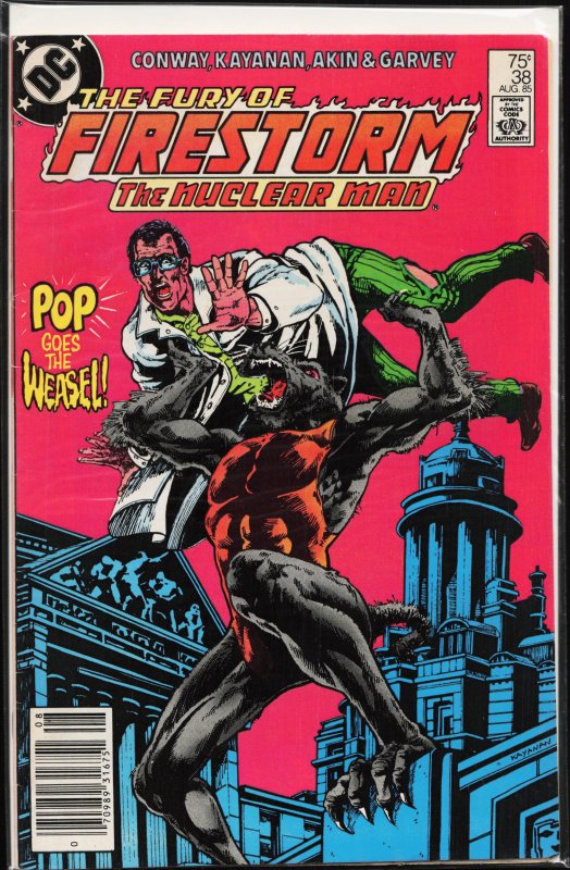The Fury of Firestorm #38 (1985) Firestorm