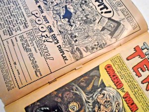 Tales From The Crypt (EC) #42 vg