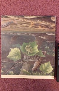 Small stream ecosystem poster/Rick hill painting 1999