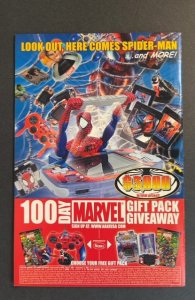 The Punisher #13 (2002)