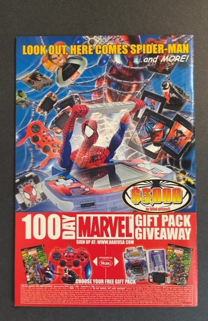 The Punisher #13 (2002)