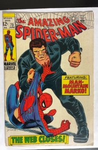 The Amazing Spider-Man #73 (1969)