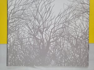 The Woods #1 San Diego Comic Con Exclusive 2014 Boom! Studios Optioned