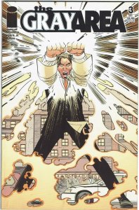 The Gray Area #3 Image NM