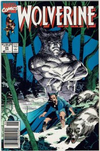 Wolverine #25 (1988 v2) Newsstand Jim Lee John Buscema NM