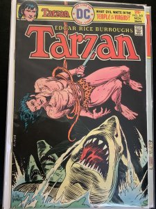 Tarzan #243 (1975)